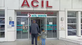 Başıboş Köpeklerin Saldırısına Uğrayan 5 Yaşındaki Çocuk Hastaneye Kaldırıldı