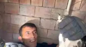 Hatay'da Apartman Havalandırma Boşluğuna Düşen Yavru Kedi Kurtarıldı