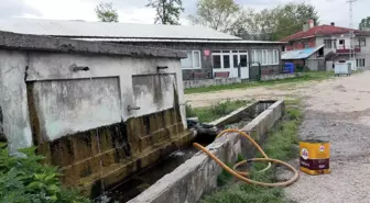 Bolu'da Su Kaynağından Zehirlenme İddiası