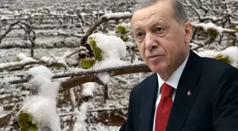 'Bu yıl sıkıntı yaşayacağız' diyen Cumhurbaşkanı Erdoğan, o ürünleri tek tek saydı