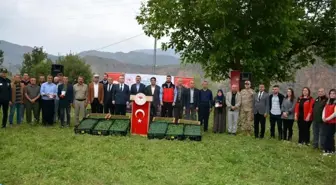 Hakkari'de Tarımsal Destek: 43 Bin Sebze Fidesi Dağıtıldı