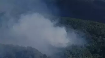Hatay'da Orman Yangını Kontrol Altına Alındı