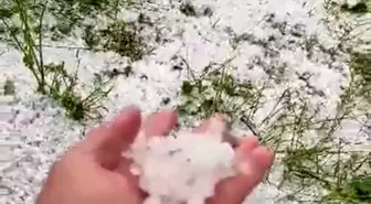 Osmaniye'de Dolu Yağışı Tarım Arazilerine Zarar Verdi