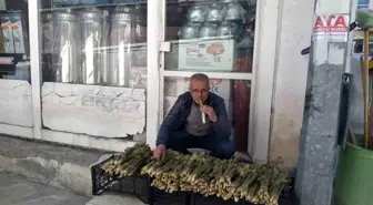 Yayla Muzunun Talebi Artıyor: Işkin Faydaları ve Satışı