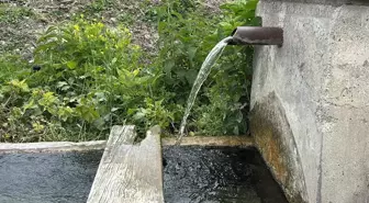 4 köyde 80 kişi hastanelik oldu, içme suyundan numune alındı