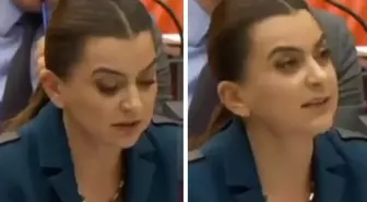 DEM Partili Koçyiğit Kürtçe konuştuğu sırada mikrofonu kapatıldı