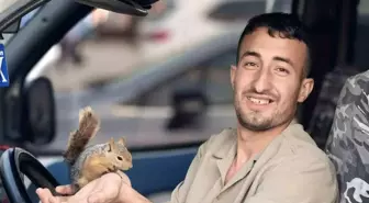 Sincapla Kurulan Bağ: İş Makinesi Operatörü ve Kedisinin Hikayesi