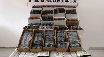 Antalya'da 2 bin 500 Kaçak Güneş Gözlüğü Ele Geçirildi