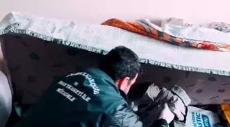 Iğdır'da Sahte Belgelerle Kaçak Göçmen Taşıma Operasyonu