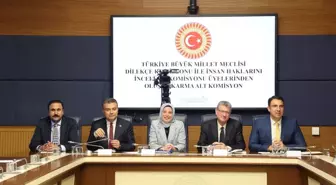 Kamu Denetçisi Yalçın: Risk grubundaki çocukların suç işleme oranı diğerlerine nazaran 11 kat daha fazla