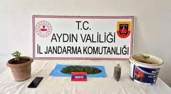 Aydın'da Uyuşturucu Baskını: 1 Gözaltı