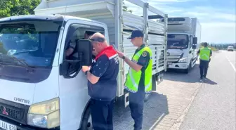 Kurban Bayramı Öncesi Hayvan Denetimleri Artıyor
