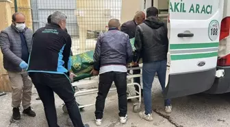 Sivas'ta 2 çocuk annesi keneden öldü