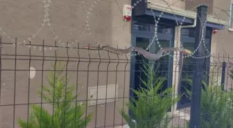 Şehrin ortasında korkutan görüntü! Görenler hemen telefona sarıldı