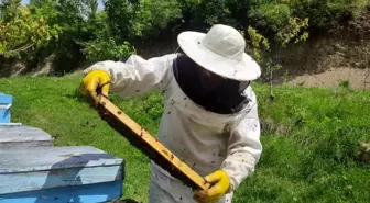 Ardahan'da Bal Üreticileri Yaz Sezonuna Hazırlanıyor