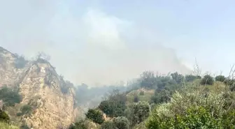 Aydın'da Zirai ve Otluk Alanda Yangın Çıktı