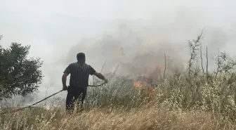 Bodrum'da 3 Farklı Noktada Yangın Kontrol Altına Alındı
