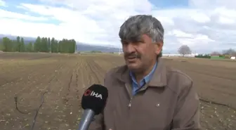 Yağış Yetersizliği Sebze ve Meyve Fiyatlarını Olumsuz Etkiliyor