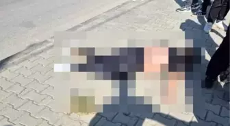 Fethiye'de Motosiklet Kazası: Bir Kişi Hayatını Kaybetti