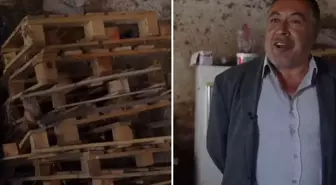 Hayvancılığı bırakıp parasını faize yatıran çiftçinin en büyük pişmanlığı