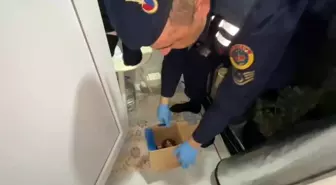 Samsun'da Evinde Uyuşturucu Yetiştiren Şahıs Yakalandı