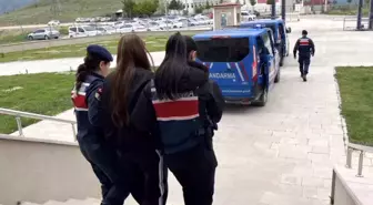 Sahte Araç Kiralama Çetesi Çökertildi: 19 Gözaltı, 160 Milyon TL Dolandırıcılık