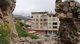 Oltu Kalesi'nin Restore Edilmesi İsteniyor