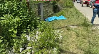 Bartın'da Arazi Anlaşmazlığı Kanlı Bitti: 2 Ölü, 1 Yaralı