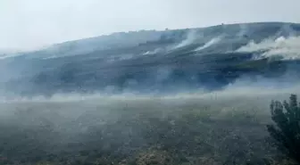 Denizli'nin Çivril İlçesinde Otluk Alanda Yangın Çıktı