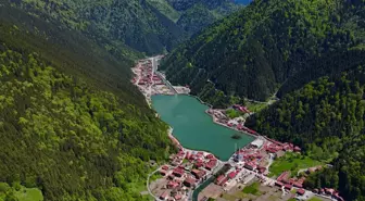 Uzungöl'de Otopark ve Ring Sistemi Projesi