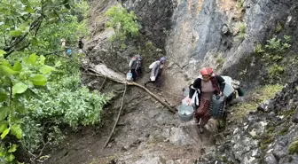 Yüksekova'da Berivanların Zorlu Yayla Mesaisi Başladı