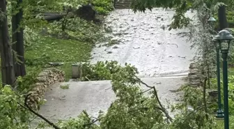 ABD'de Şiddetli Fırtına ve Kasırga: 21 Can Kaybı