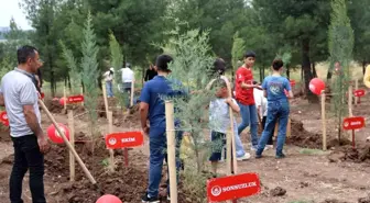 Diyarbakır'da 'Koruyucu Aile Hatıra Ormanı' oluşturuldu