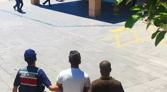 Kahramanmaraş'ta Orman Yangınına Sebep Olan Genç Hakkında 10 Yıla Kadar Hapis İstemi