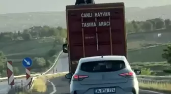 Elazığ-Bingöl Karayolunda Tehlikeli Yolculuk