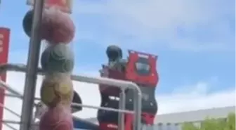 Cips Çalan Kargaya Esnafın Komik Uyarısı