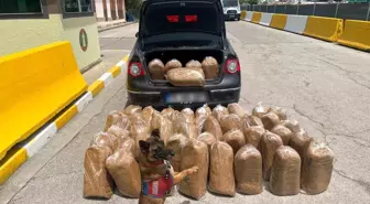 Mersin'de Gümrük Kaçağı Tütün ve Makaron Ticareti Operasyonu