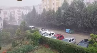 Sakarya'da İki Mevsim Bir Arada Yaşandı