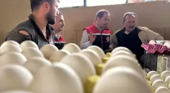 Erzincan'da Hayvancılık Sektöründe Yeni Yatırımlar