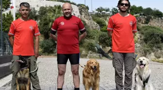 Antalya'da Arama Kurtarma Köpekleri Eğitiliyor