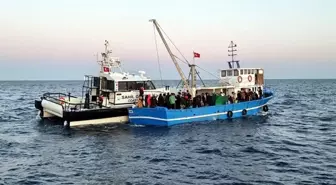 Edirne'de 92 Kaçak Göçmen Yakalandı