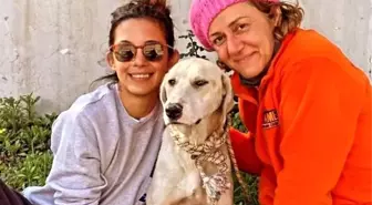 Depremden Kurtarılan Köpek, Gönüllüler Tarafından Sahiplendi