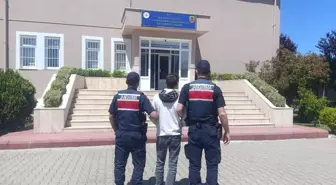 Yalova'da Dolandırıcılık: 10 Milyon Lira Çalan Şüpheli Yakalandı