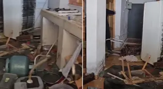 Kış uykusundan uyanan ayılar belediye başkanının evini bastı
