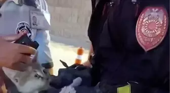 Otomobilin Motorunda Sıkışan Yavru Kedi 4 Saatlik Çalışmayla Kurtarıldı