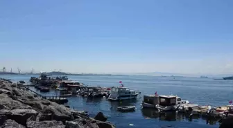 Pendik'te Amatör Balıkçının Oltasına Yavru Köpek Balığı Takıldı