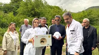 Zonguldak'ta Kestane Gal Arısına Karşı Biyolojik Mücadele Başlatıldı