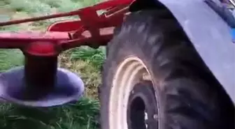 Traktörle Ot Biçen Çiftçi, Yavru Köpekleri Ölümden Kurtardı