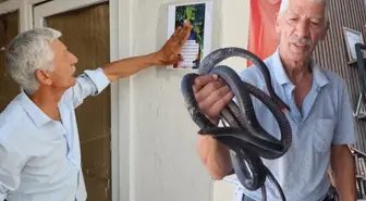 Fenomen ayrancı Yılancı Osman'a bir şok daha! Her yere resmini astı