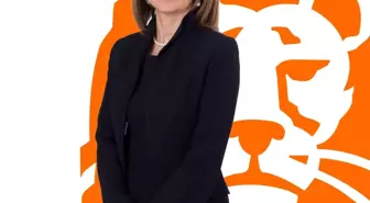 ING Grubu'nun İklim Hedefleri SBTi Tarafından Doğrulandı